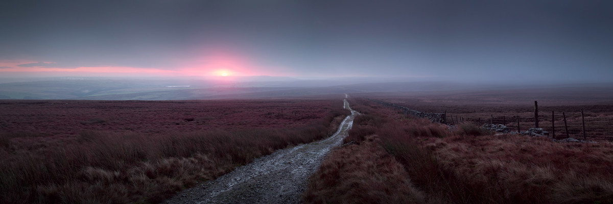 Moorland landscape with long path at sunrise a close up of a dry grass field