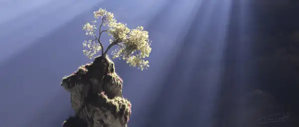 Not of this World
