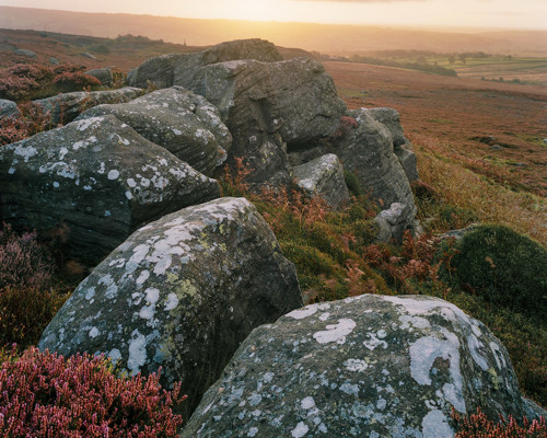 Moorland Landscapes: A gentle sunrise casts warm light over North Yorkshire moorland, highlighting rugged rocks with lichen patterns and vibrant heather clusters. In the distance, soft, rolling hills under a gentle sky meet the horizon. a group of people on a rocky hill