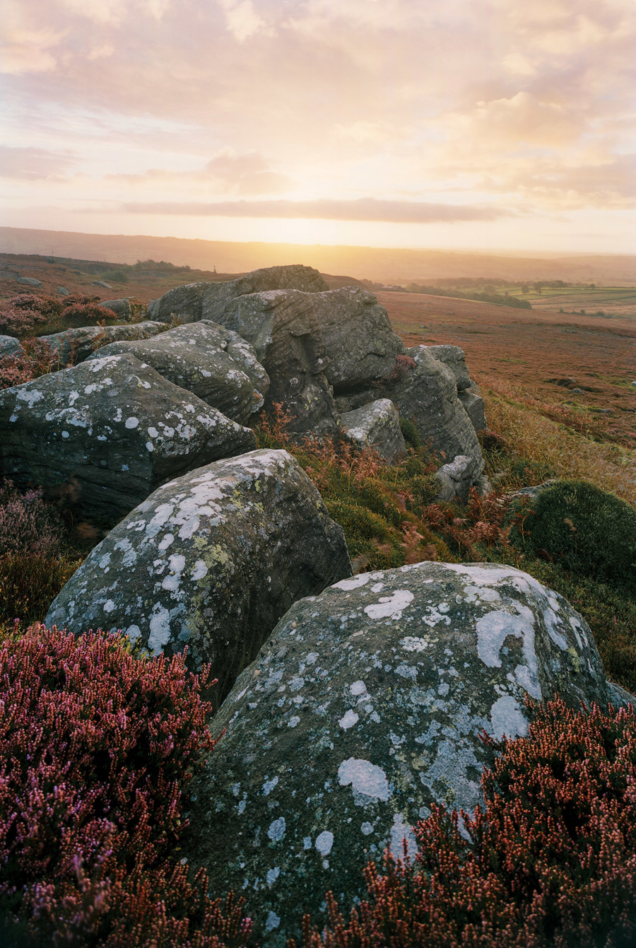 A gentle sunrise casts warm light over North Yorkshire moorland, highlighting rugged rocks with lichen patterns and vibrant heather clusters. In the distance, soft, rolling hills under a gentle sky meet the horizon. a group of people on a rocky hill