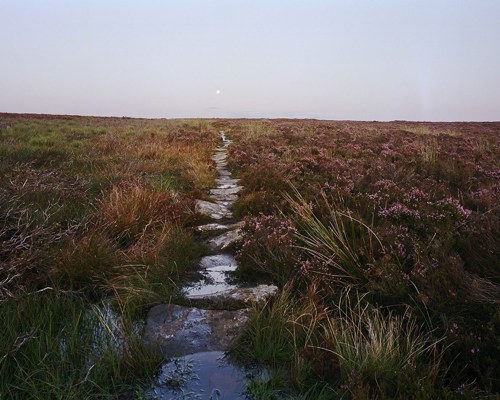 Moorland Landscapes: Moorland landscape path a river running through a grassy field