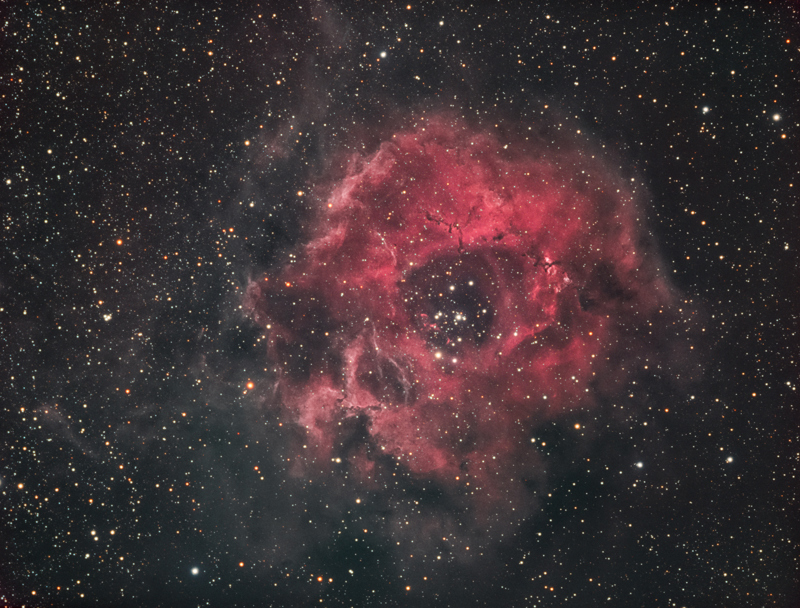 The Rosette Nebula