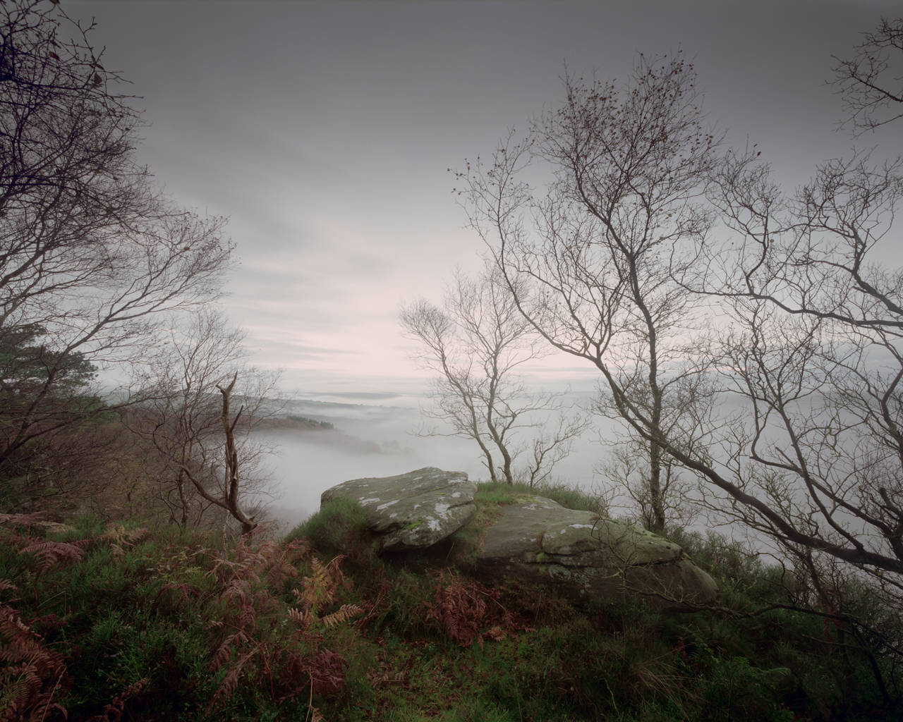 A mossy rock outcrop forms a natural viewpoint amidst bare trees and ferns. A carpet of mist blankets the landscape below, with the horizon faint in the distance under a muted sky.