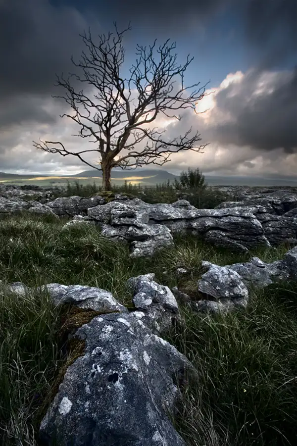 All that remains