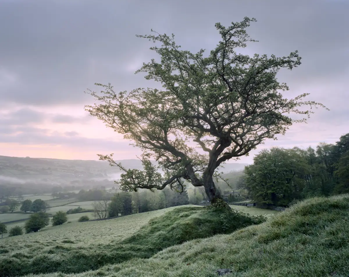 Early Autumn Dawn