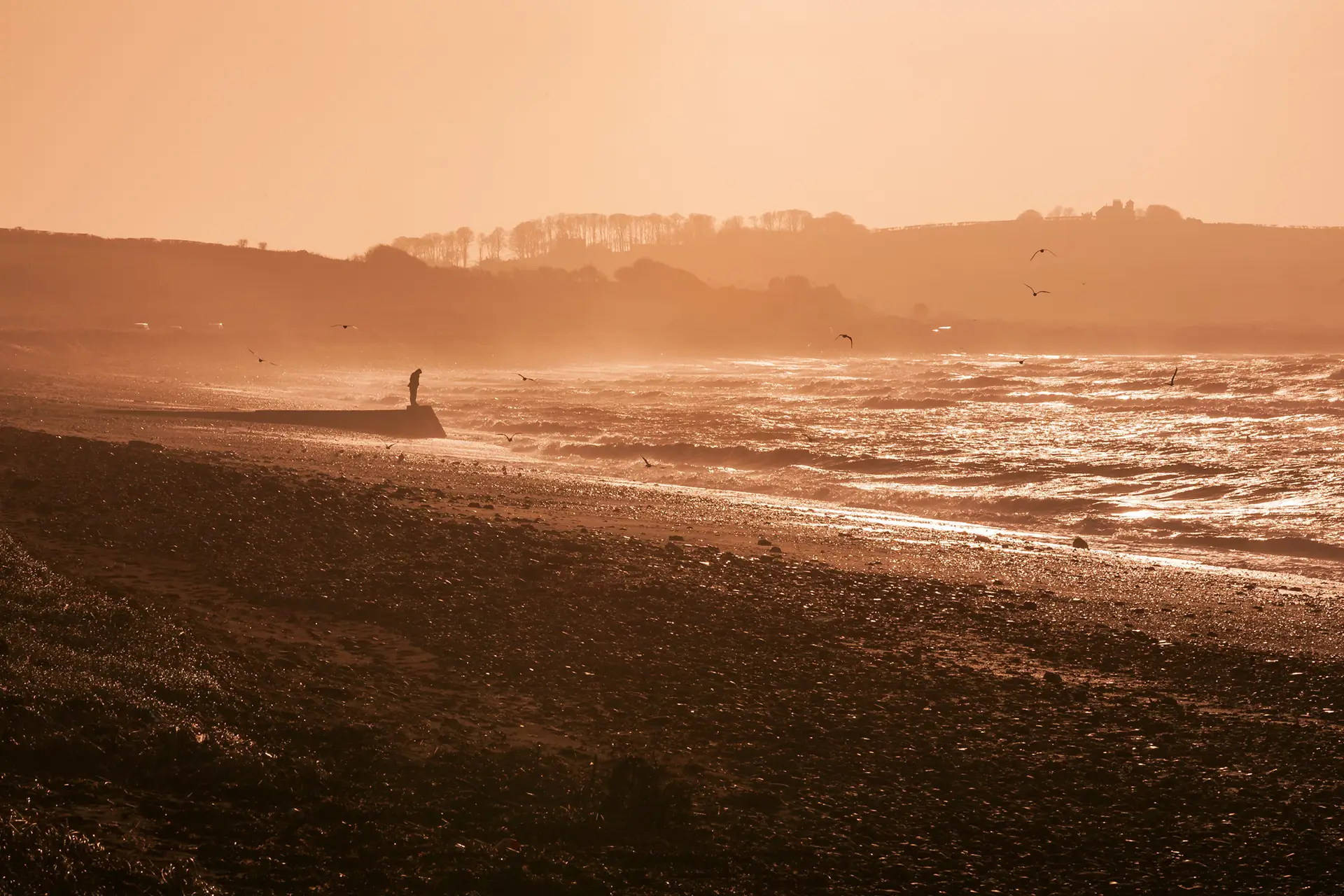 Rocky shoreline bathed in warm, golden light from the setting sun. Waves gently lap against the shore, reflecting the sunlight. A person stands on a small pier, looking out over the sea, with several birds flying near the water. Distant hills provide a hazy backdrop.