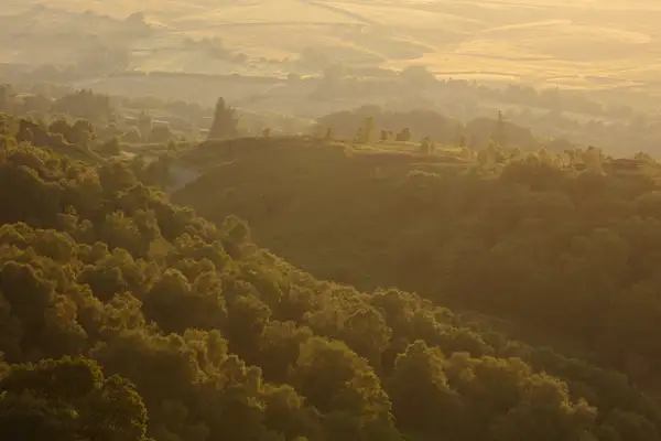 Rolling hills covered in dense, lush green forests, softly illuminated by the golden light of a setting sun. The scene is tranquil with a winding road cutting through the landscape, and the distant hills appearing hazy at the horizon. Shadows create contrast, highlighting the undulating terrain.