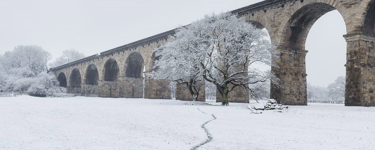Oak trees in front of the Crimple Viaduct a large stone building with a snow covered bridge