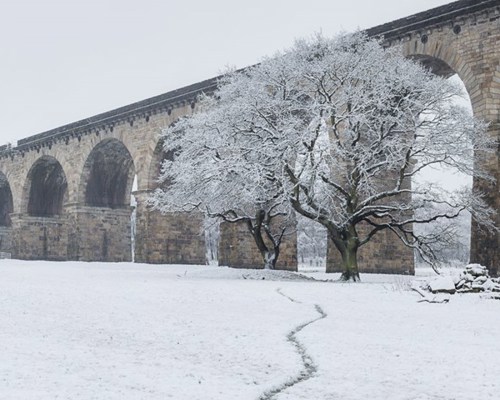 Crimple Valley Viaduct: A Marvel of Engineering and Beauty: Oak trees in front of the Crimple Viaduct a large stone building with a snow covered bridge