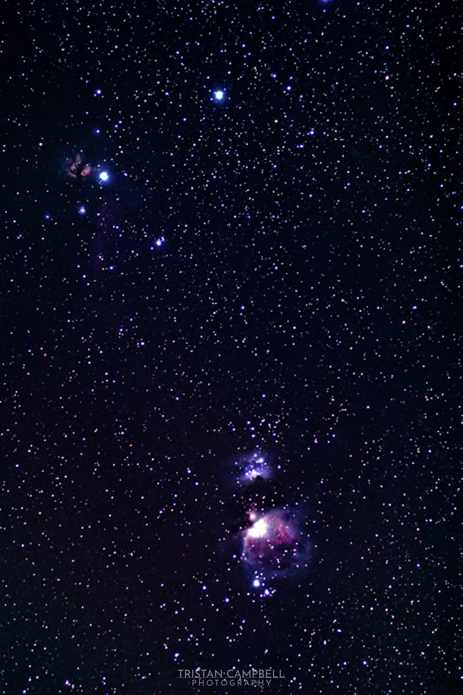 Orion