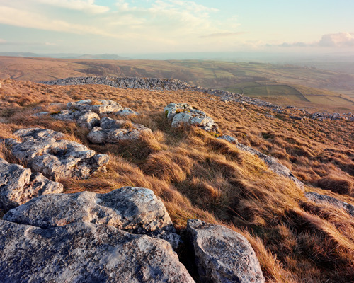 Yorkshire Dales: Limestone and Lone Trees:  a rocky landscape with a valley in the background