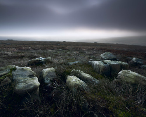 Moorland Landscapes: A bleak expanse of North Yorkshire moorland stretches out, with weathered rocks in the foreground amid tufts of rough grass. Overcast skies loom above, casting a gentle diffused light across the heath. A solitary building is barely visible on the horizon, hinting at the rugged loneliness of the landscape. a herd of sheep standing on top of a hill