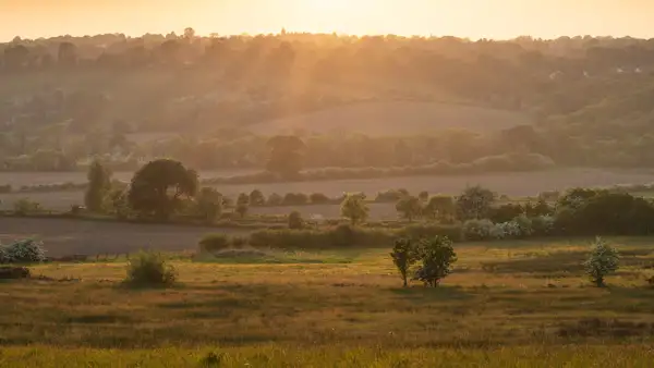 Rolling countryside with fields and woodlands bathed in warm, golden light during sunrise or sunset. A soft haze blankets the distant hills, creating a serene and tranquil atmosphere. Scattered trees and bushes dot the foreground, with gentle undulations visible across the landscape.