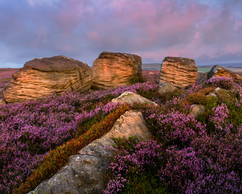 Moorland Landscapes:  a rocky mountain with purple flowers