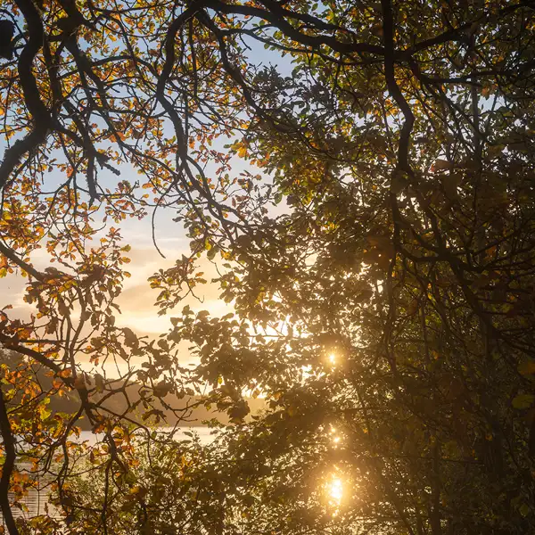 Fewston Autumn