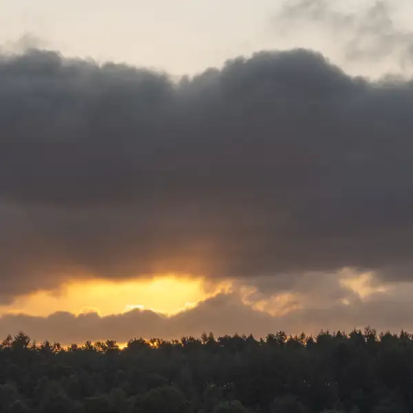 Early Morning Skies
