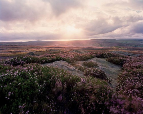 Moorland Landscapes: Moorland landscape with heather a group of clouds in the sky
