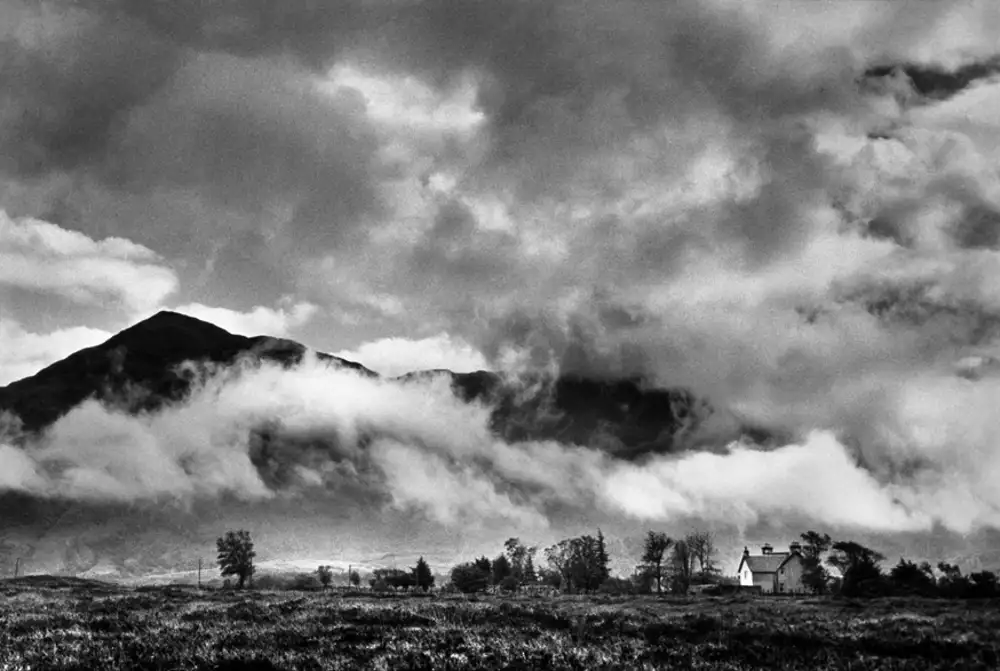 Scotch Mist