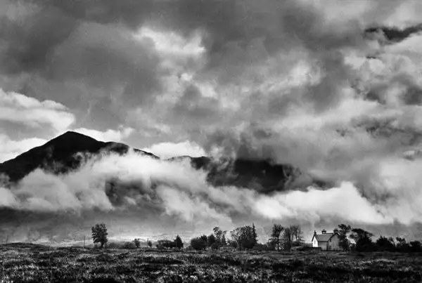 Scotch Mist