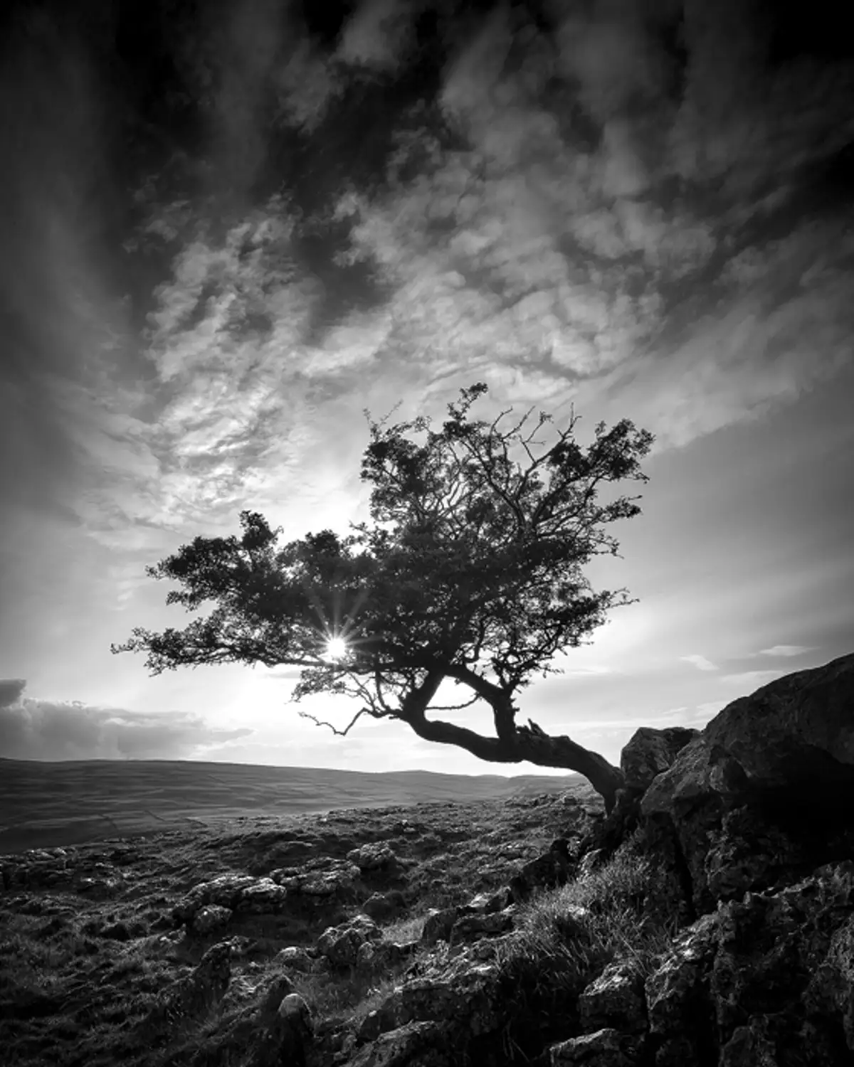 Time is a lonely place