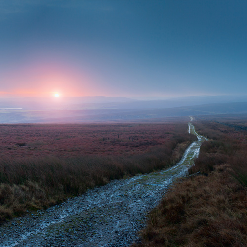 Moorland sunrise: The image shows a serene North Yorkshire moor at dawn. A gravel path meanders through the heather-filled terrain, leading toward the horizon under a pastel sky. The rising sun casts a warm glow. The moor appears tranquil and expansive.