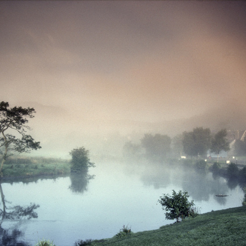 Morning Mist (1): Morning Mist