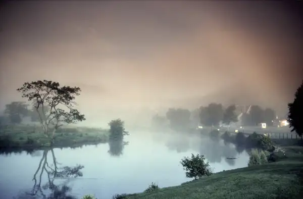 Morning Mist