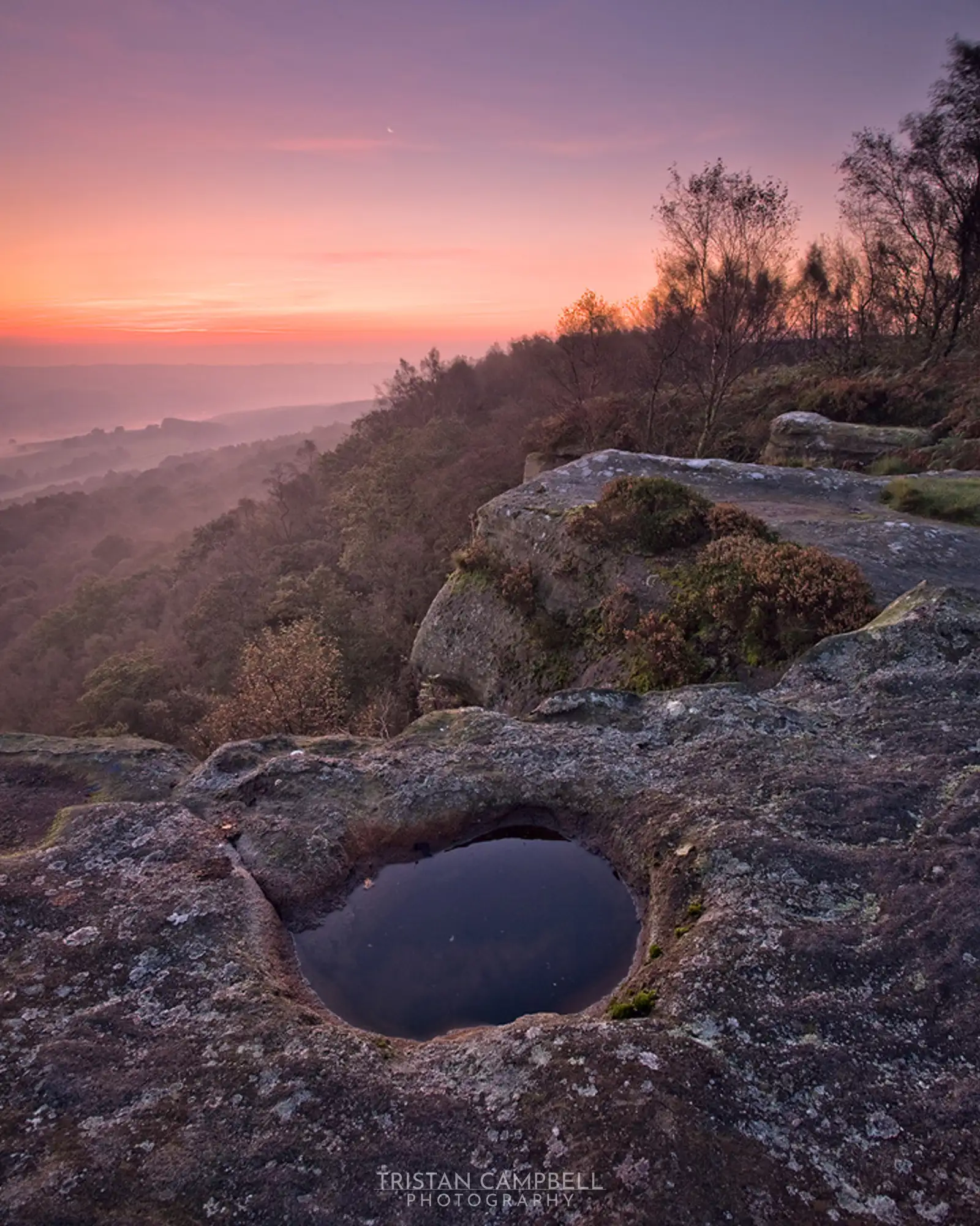 Autumn Dawn Landscape