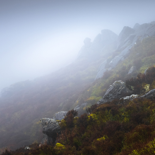 Silence II: The image captures a moody landscape in North Yorkshire under a veil of fog. A slope with rocks and brush fades into the white mist. The vegetation sports autumnal hues, and the subdued light suggests a serene, mysterious atmosphere.