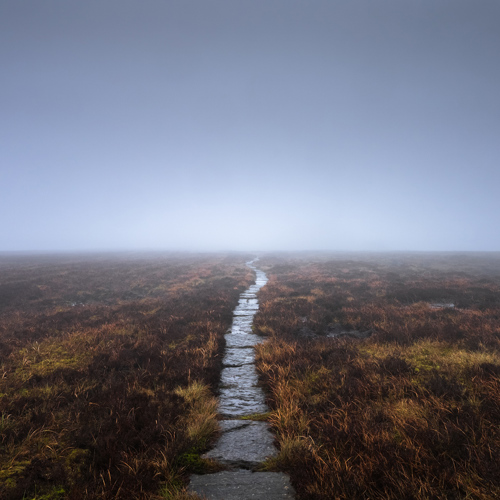 Silence: Nestled in North Yorkshire, a solitary pathway cuts through a moorland swathed in mist. The weathered path, bordered by tufts of russet grasses, stretches into an opaque horizon, evoking a serene, mystical ambiance under a soft, overcast sky.