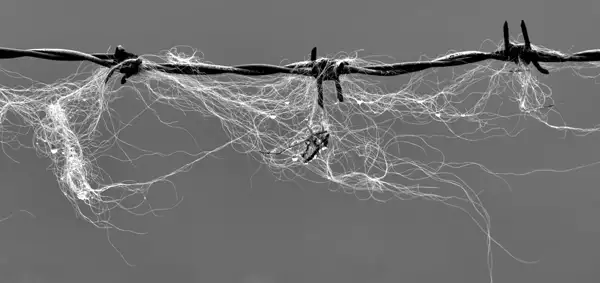 wire