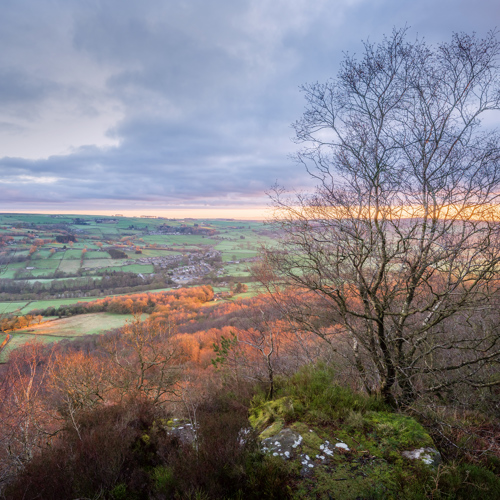 Catch the breeze above the trees: This image captures a serene North Yorkshire landscape at dawn. In the foreground, barren trees stand among bracken with hints of greenery. The middle ground portrays a quilt of fields in varying shades of green and brown, with sparse buildings. A glowing horizon under a cloudy sky completes the backdrop, suggesting the sun is setting just out of view.