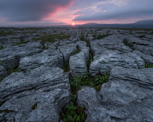 Yorkshire Dales: Limestone and Lone Trees:  a close up of a rock