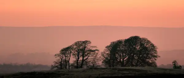 Sunrise, Harrogate