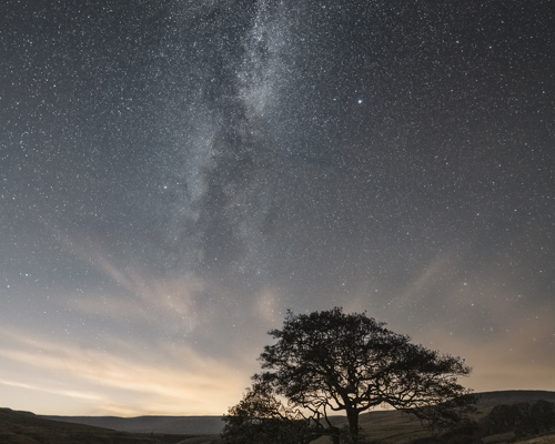 Nightscapes: A solitary tree stands against a star-filled night sky, with the Milky Way visible as a bright, cloudy band stretching vertically. Below, gentle rolling hills and a serene lake add tranquillity to the scene, while a stone wall leads to the tree. 