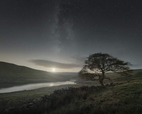 Nightscapes: A solitary tree stands beside a stone wall under a starry sky, with a milky strip of galaxy visible. Below, gentle hills cradle a reflective body of water, glowing faintly from the crescent moon rising on the horizon. a close up of a hillside next to a body of water