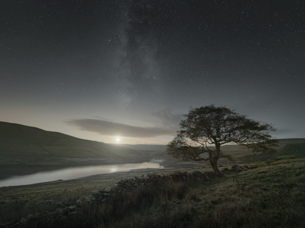 Nightscapes A solitary tree stands beside a stone wall under a starry sky, with a milky strip of galaxy visible. Below, gentle hills cradle a reflective body of water, glowing faintly from the crescent moon rising on the horizon.