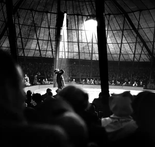 The circus