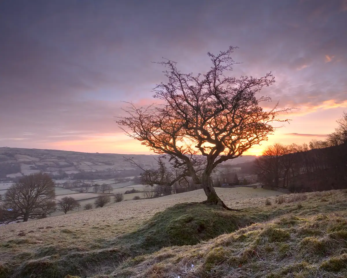 Winter dawn