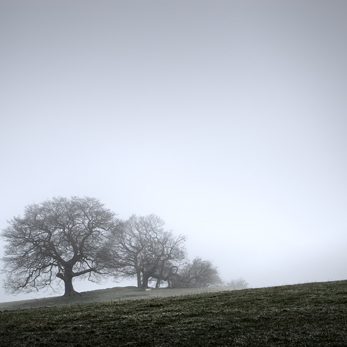 Misty morning, Fewston (1): Misty morning, Fewston