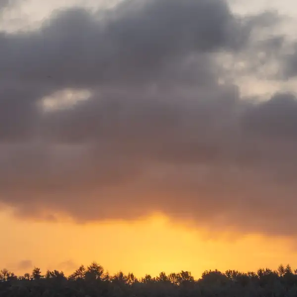 Early Morning Skies