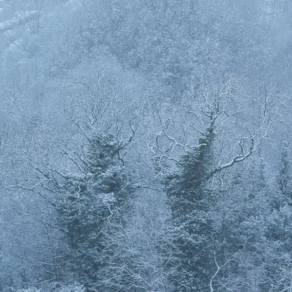 Crimple Valley Snow (1)