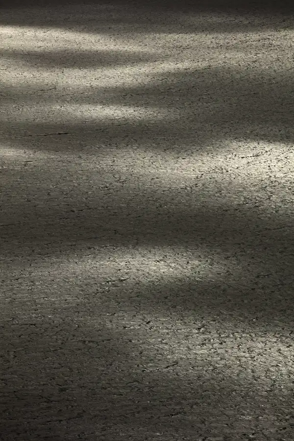 Sunlight filters through trees, casting dappled light and shadow on cracked, dry earth. The textured surface displays varying shades of grey, highlighting the uneven terrain.
