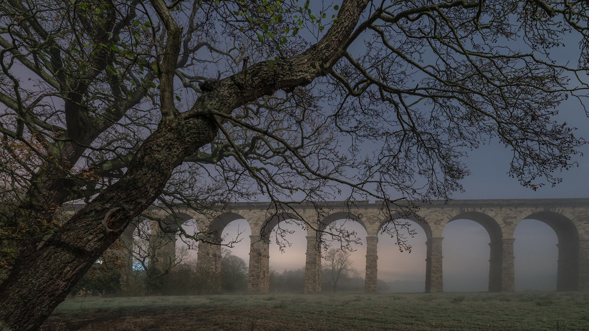 In the foreground, leafless branches of an oak tree spread across the scene. Behind, shrouded in mist, stands the Crimple Valley Viaduct with its multiple arches rising from the grass-covered ground. The atmosphere is tranquil with a soft, pre-dawn light. a bridge over a river