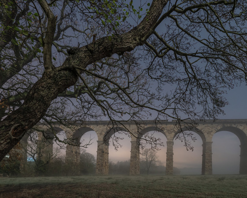 Nightscapes: In the foreground, leafless branches of an oak tree spread across the scene. Behind, shrouded in mist, stands the Crimple Valley Viaduct with its multiple arches rising from the grass-covered ground. The atmosphere is tranquil with a soft, pre-dawn light. a bridge over a river