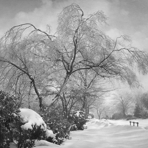 Winter Landscape: Winter Landscape