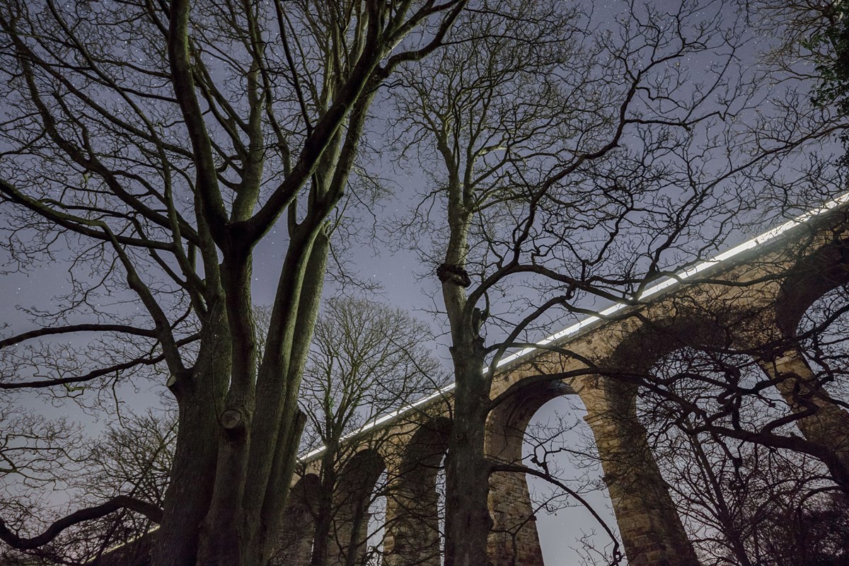 A train passes over the Crimple Viaduct at night framed by trees a large tree
