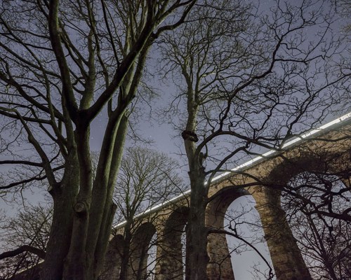 Crimple Valley Viaduct: A Marvel of Engineering and Beauty: A train passes over the Crimple Viaduct at night framed by trees a large tree