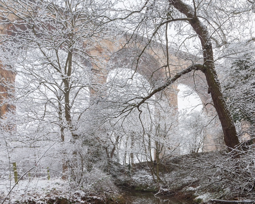 Crimple Valley Viaduct: A Marvel of Engineering and Beauty: The river Crimple runing towards the Crimple Viaduct with large tree in the foreground a tree with snow on the ground
