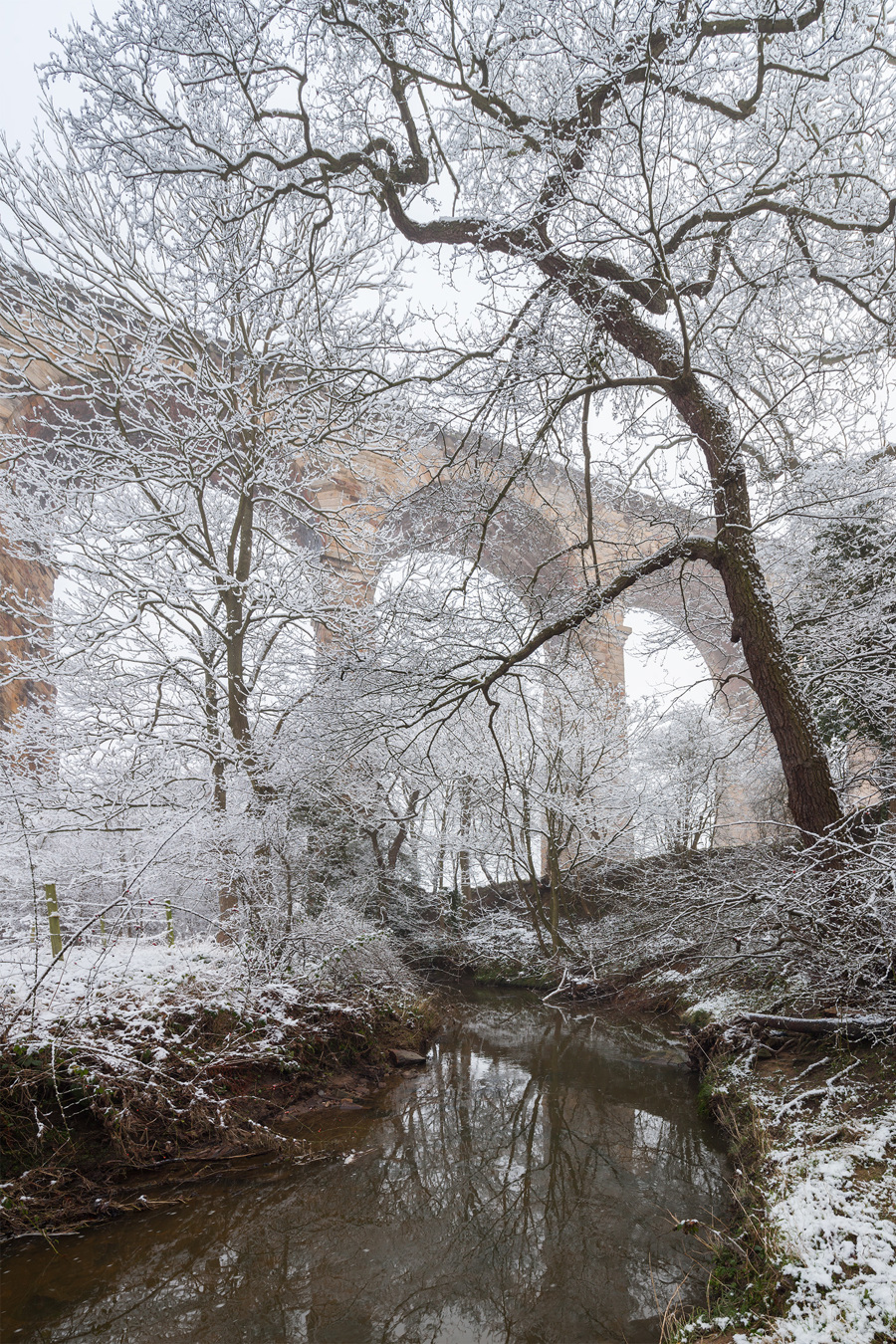 The river Crimple runing towards the Crimple Viaduct with large tree in the foreground a tree with snow on the ground